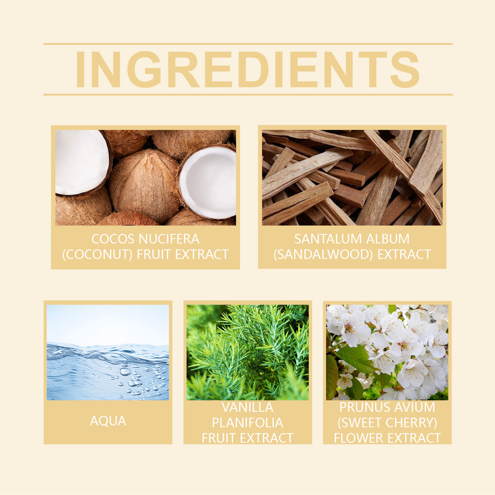 Roxelis Vanilla Coconut Fragrance Spray - Image 5